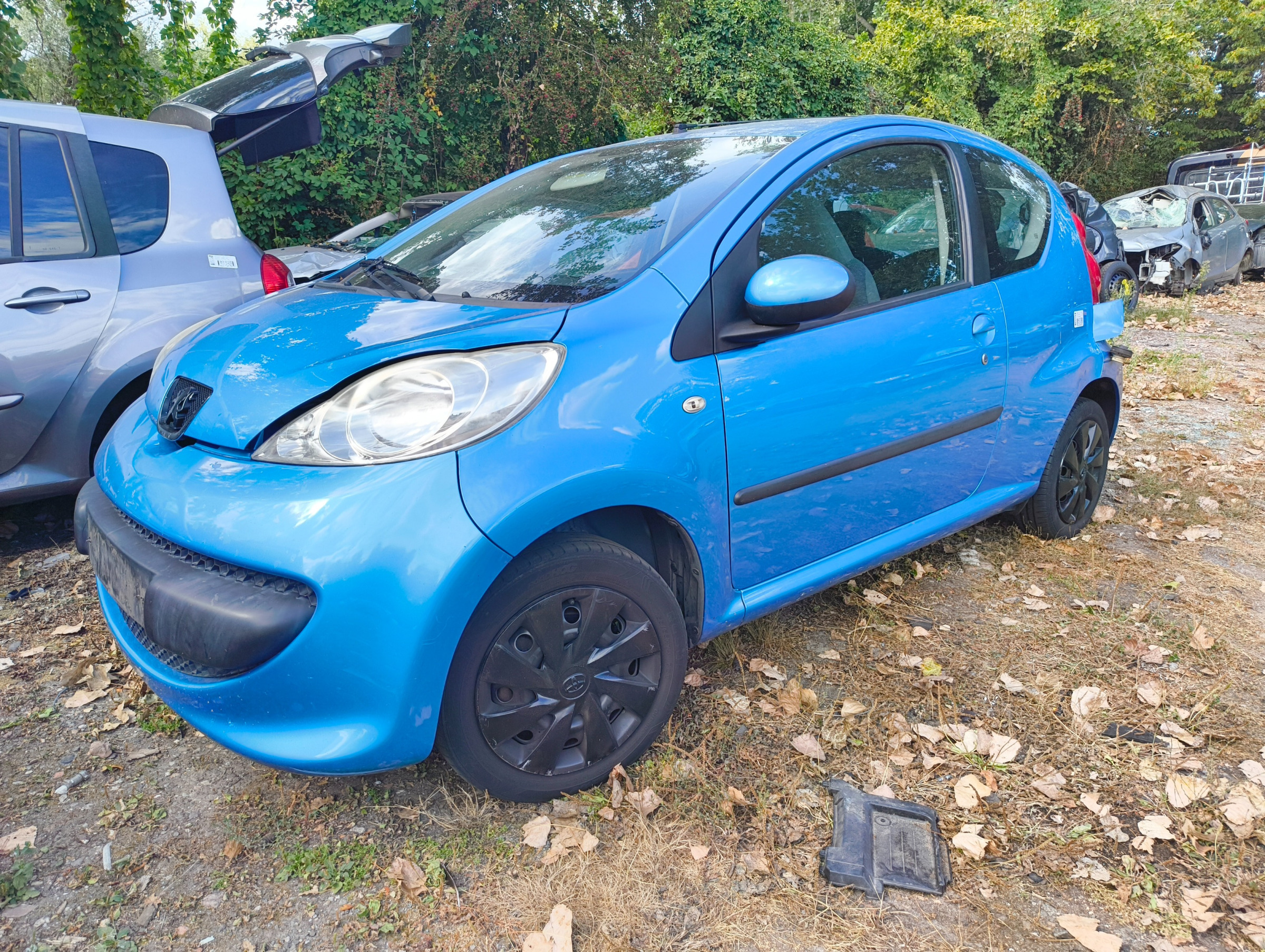 Peugeot 07